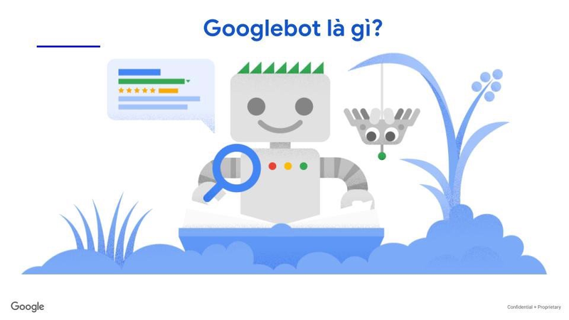 Tìm hiểu về Googlebot: Tất cả vấn đề liên quan Googlebot có thể bạn chưa biết