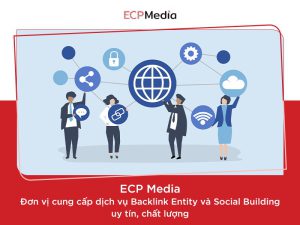 Dịch vụ Backlink Entity, Social Building uy tín, chất lượng