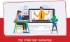 5 chiến lược marketing cho ngành giáo dục hiệu quả năm 2023