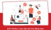 Đăng báo PR cá nhân chuyên nghiệp, giá rẻ – ECP Media