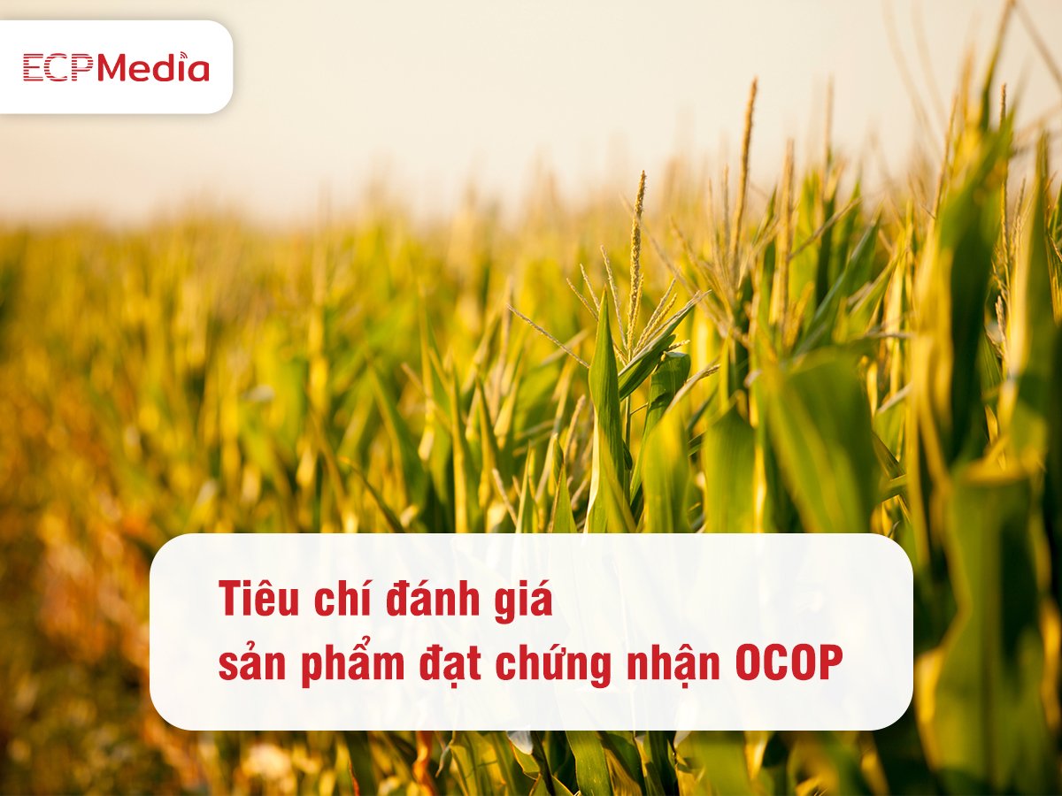 Chứng nhận OCOP là gì? Các tiêu chí đánh giá sản phẩm đạt chứng nhận OCOP