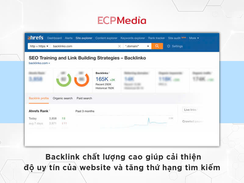 Xây dựng backlink chất lượng