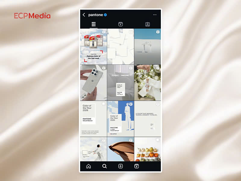 Ứng dụng màu chủ đạo Cloud Dancer trong marketing online