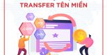 Tìm hiểu những khái niệm về transfer tên miền