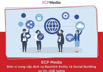 Dịch vụ Backlink Entity, Social Building uy tín, chất lượng
